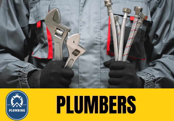  plumber Linacre
